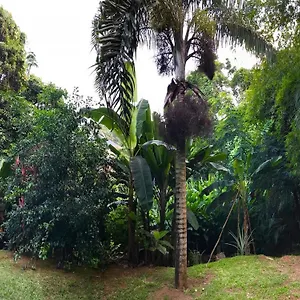 https://auxcap-self-catering-la-nature-appt.maheislandhotels.com
